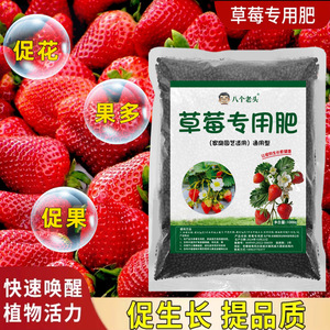 Engrais spécial pour fraises Eight Old Men, 1000g, granulaire, à libération lente, pour usage domestique en pot - Product Image 2