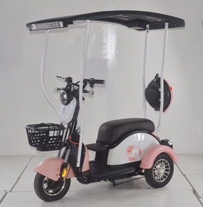Tricycle électrique solaire avec auvent solaire, scooter à 3 roues pour personnes âgées, protection contre la pluie et le vent - Product Image 3