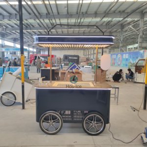 Carrito de helados, carrito de empuje, sartenes cuadradas, cubo redondo personalizado, diseño de logotipo gratuito, carrito DE VENTA DE FÁBRICA DE Filipinas - Product Image 6