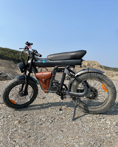 Bicicleta Eléctrica Todoterreno de Alta Resistencia con Llantas Gruesas, Motor de 6 Velocidades en el Buje Trasero, Amortiguador, 1200W, Sin Escobillas, JYOP-ZM21, Aluminio - Product Image 2