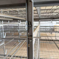 Cage d'élevage de poulets de chair entièrement automatisée, type H, empilable, à climatisation contrôlée, pour base d'élevage de poulets de chair