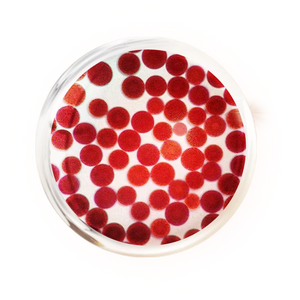 Factory Supply <strong>Natural</strong> 5% 10% <strong>Astaxanthin</strong> <strong>Powder</strong> - Product Image 4