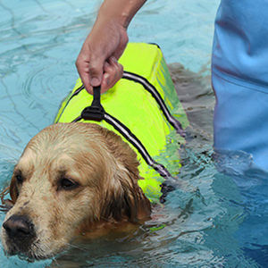 Bunnyhi JMY001 Venta caliente Ajustable Ecológico Reflectante Personalizado Neopreno Chaqueta <span class=keywords><strong>para</strong></span> <span class=keywords><strong>perros</strong></span> <span class=keywords><strong>Salvavidas</strong></span> Chaleco <span class=keywords><strong>salvavidas</strong></span> <span class=keywords><strong>para</strong></span> <span class=keywords><strong>perros</strong></span> - Product Image 4