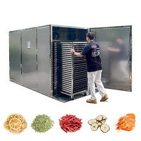Séchoir alimentaire à pompe à chaleur IKE, déshydrateur commercial pour manioc, machine de séchage de fruits et légumes, 100 plateaux, acier inoxydable CE