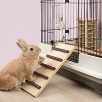 Grande cage en bois écologique avec pont, trampoline et échelle pour lapins, cochons d'Inde et chinchillas - Cadeau de Noël et de remise de diplôme