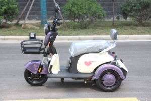 Vente en gros <span class=keywords><strong>Tricycle</strong></span> électrique 3 roues d'<span class=keywords><strong>occasion</strong></span> <span class=keywords><strong>pas</strong></span> <span class=keywords><strong>cher</strong></span> pour adultes - Product Image 4