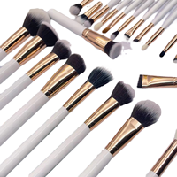 Ensemble de maquillage de luxe 14 pièces en poils synthétiques de qualité supérieure, manche en plastique, forme plate, haute qualité, marque privée, adapté aux voyages, pour le visage