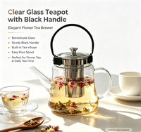 Théière Wuso Classic en verre borosilicate transparent et lisse avec poignée en métal noir et infuseur durable en acier inoxydable pour thé en vrac