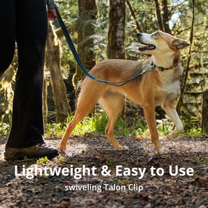 Laisse pour chien de luxe corde solide confortable et résistante réfléchissante pour grande laisse de chien élastique moyenne pour la course à pied ou la randonnée - Product Image 3