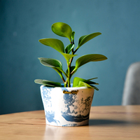 Décoration de la maison bureau intérieur auto-arrosage petit Pot de jardinière rond en plastique pour plante d'intérieur