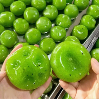 Jouet Squishy Texturé Fait Main Kiwi, Pastèque et Fruit de la Passion Vert Grainé, Balle Anti-Stress à Rebond Lent et Doux