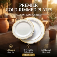 Assiettes rondes jetables en plastique PS avec bordure argentée et or rose de qualité alimentaire, assiettes à dîner commerciales pour restaurants et fêtes
