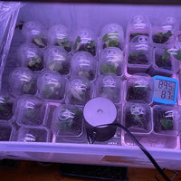 Conteneur de pot de jardinage en plastique durable pots de pépinière de plantes transparentes avec dôme d'humidité pour les semis légumes succulentes boutures