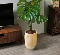 Nouveau design Pot de fleurs en Fiberclay pour visage humain avec trou de drainage pour la maison, le jardin et le sol.