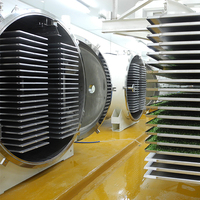 Hoge kwaliteit vriesdroger lyofilisator pomp automatische voedselverwerking droging voor fruit koffiebonen SUS304 materiaal hoog