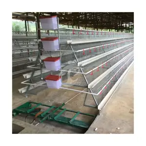 Jaulas de pollo de capa galvanizada de Nepal Máquina de jaulas de pollo de alambre soldado galvanizado para jaulas galvanizadas