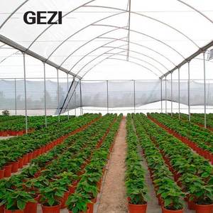 Mật độ cao polyethylene Trinh Nữ HDPE Monofilament Polyamide Nylon PE HDPE chống mưa lưới côn trùng bằng chứng nhựa UV Nylon <span class=keywords><strong>Net</strong></span> - Product Image 4