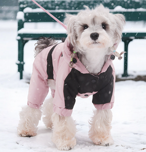 Combinaison imperméable et chaude pour chien, à quatre pattes, avec capuche, pour petits chiens - Product Image 6