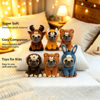 Peluche personnalisée mignonne de dessin animé Shar Pigou Bear, jouet anti-stress pour chien, super douce, cadeau d'anniversaire, coton PP, OEM ODM