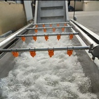 Industriële bubbelgroentewasmachine Automatische fruit- en groentereinigingsapparatuur voor sla, spinazie, appel, tomaat