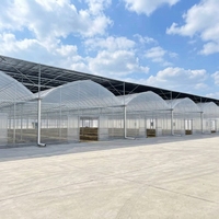 Serres agricoles multi-spans en acier pour la culture de légumes à domicile, structure en acier, abri en plastique, serre à vendre