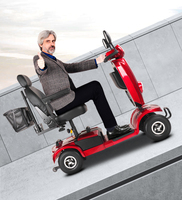 Scooter électrique MOBILITY à double moteur de 10 pouces 350W avec panier arrière Vélo électrique pour personnes âgées Vélo pliable de ville