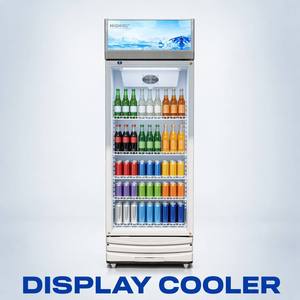 Refrigerador Vertical Exhibidor de Bebidas, Enfriador de Cerveza con Puerta Frontal de Vidrio Único, Refrigeradores de Exhibición para Bebidas Frías, <span class=keywords><strong>Coca</strong></span> <span class=keywords><strong>Cola</strong></span>, Pepsi - Product Image 1