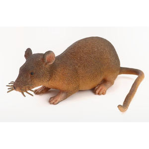 Bienvenido OEM personalizado simulado 3D Reptilia animales modelo plástico goma TPR suave ratón juguete para venta al por mayor - Product Image 1