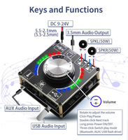 50W + 50W stéréo BT Audio numérique amplificateur de puissance carte Module Volume spectre musique rythme lumière D50L
