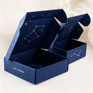 Boîtes de couleur ondulées imprimées double face personnalisées en usine Conception d'avion <span class=keywords><strong>avec</strong></span> fermeture à glissière pour emballage de <span class=keywords><strong>sous</strong></span>-vêtements Livraison express - Product Image 1