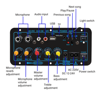 Vente directe usine : Subwoofer pour karaoké domestique et embarqué, Amplificateur audio extérieur, Carte d'amplification de puissance, Carte mère de haut-parleur