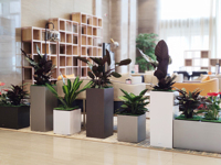 Boîtes de plantation modulaires en plastique, pour jardin à domicile, arrosage automatique de plantes, pot de fleurs pour bureau, salon, GL1