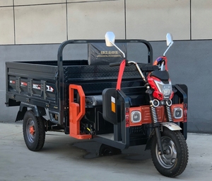 TianYing charge lourde trois roues électrique Dump Cargo Trike <span class=keywords><strong>moto</strong></span> corps ouvert <span class=keywords><strong>chariot</strong></span> de <span class=keywords><strong>Transport</strong></span> pour le <span class=keywords><strong>transport</strong></span> logistique - Product Image 5