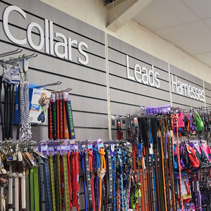 Hondenriem en halsbandset met gepersonaliseerd logo, <span class=keywords><strong>TPU</strong></span>-coating, waterdicht PVC-gecoate rubberen halsbanden & riemen voor buiten, zwemmen, training en wandelen - Product Image 5