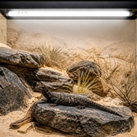 LuckyHerp T8 14W Lampe UVB 15.0 Spirale en Verre Classique pour Reptiles Écologique Intérieur Toutes Saisons JX-FL8T1415