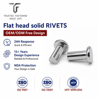Rivets plats personnalisés TianFang pour panneaux d'équipements de construction, acier oxydé noir, conception OEM ODM et approvisionnement en gros