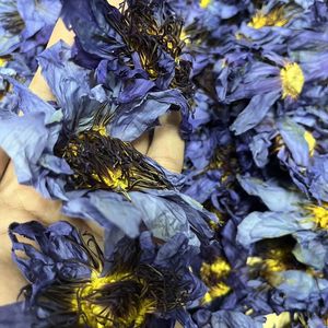 Té de Hojas Sueltas de Flor de Loto Azul Entera de Alta Calidad, Nymphaea Caerulea, de Jardín Propio, Herbal, Natural, Hoja Fumable - Product Image 5