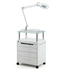 Hochey Beauty Salon Trolley Disinfection Cabinet LED Cold Light Embroidery Lamp Beauty Eyelashes Manicure Instrument Tool Cart