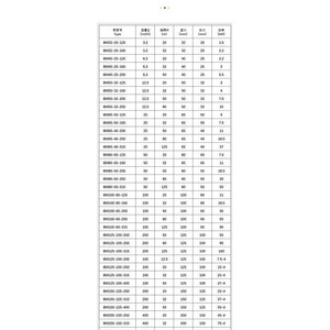 ปั๊มดูดสารเคมีแบบแม่เหล็ก Bach Grunbach  สแตนเลส 304 316 2205  แบบแรงเหวี่ยง - Product Image 5