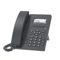 Téléphone SIP PEAKSOUND P-100IP avec système d'interphone réseau, alimentation PoE, affichage de l'identification de l'appelant pour les bureaux et les centres d'appels professionnels