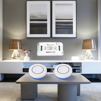 RF433MHz Mini Module de relais de télécommande sans fil 10A Max. pour AC 110V 220V Lumière Lampe Ventilateur LED 10A 10A WiFi