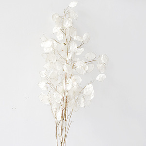 Lussuoso Bouquet di Fogliame Essiccato e Conservato, Lunaria Annua per Decorazioni Domestiche - Product Image 2