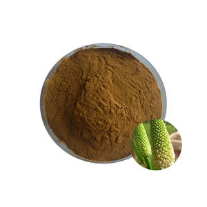 コーシャ偽ユニコーン根粉末/Chamaelirium Luteum高品質ナチュラル10/20/30:1 - Product Image 1