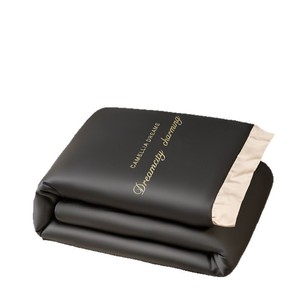 Set di trapunte in seta di ghiaccio di lusso leggero in quattro pezzi con ricamo digitale bordo largo lavabile in seta nuda perfetta per dormire - Product Image 2