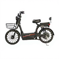 Vélo électrique 48V avec moteur roue arrière, cadre en acier haute teneur en carbone, freins à disque avant/arrière, batterie plomb-acide, autonomie 55-65 km, vitesse maximale 25 km/h