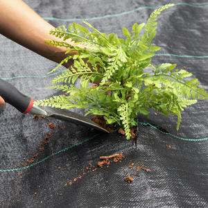 Tapete de malezas de PP agrícola bien diseñado, suministros de jardín, rollo de tela tejida para cubrir el suelo con servicio de corte personalizado - Product Image 3