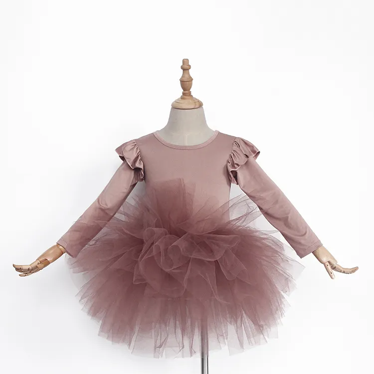 Kain Tule Desain Kustom Musim Gugur Musim Dingin Dusty Pink Tulle Pakaian Dansa Tutu Balet Anak Profesional