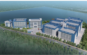 Huile parfumée de haute qualité Lime Basil Mandarin pour la fabrication de parfums, huiles de parfum concentrées de parfum fin de marque - Product Image 5