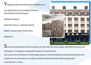 विदेशी व्यापार इलेक्ट्रॉनिक पैमाने के लिए 30 किलोग्राम/40 किलोग्राम/40 किलोग्राम - Product Image 3