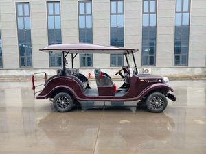 Meilleure vente de l'usine : Bus électrique touristique 8 places (blanc) — Idéal pour les navettes touristiques - Product Image 3